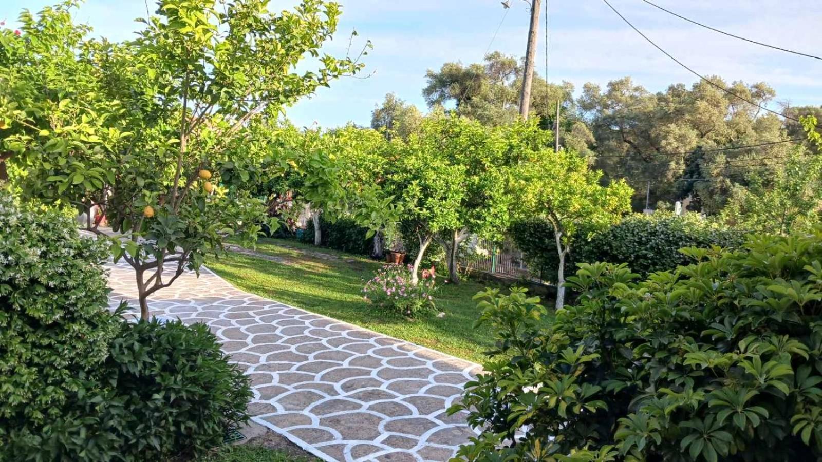 Villa Ioannidis Πάργα Εξωτερικό φωτογραφία