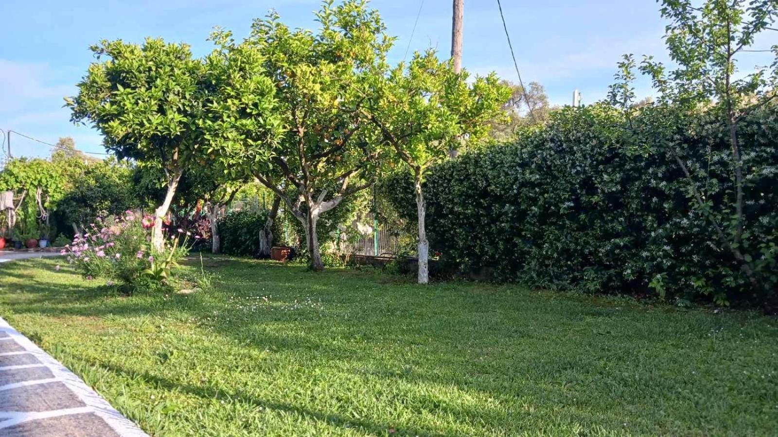 Villa Ioannidis Πάργα Εξωτερικό φωτογραφία